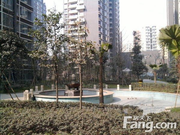 保利梧桐语3室1厅1卫东北朝向2800.00元/月出租