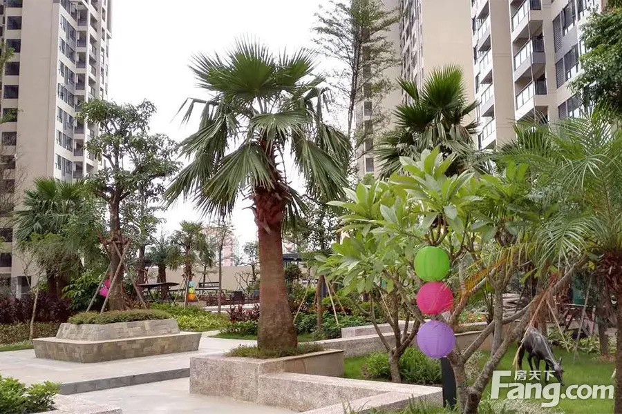 实景图:园林实景