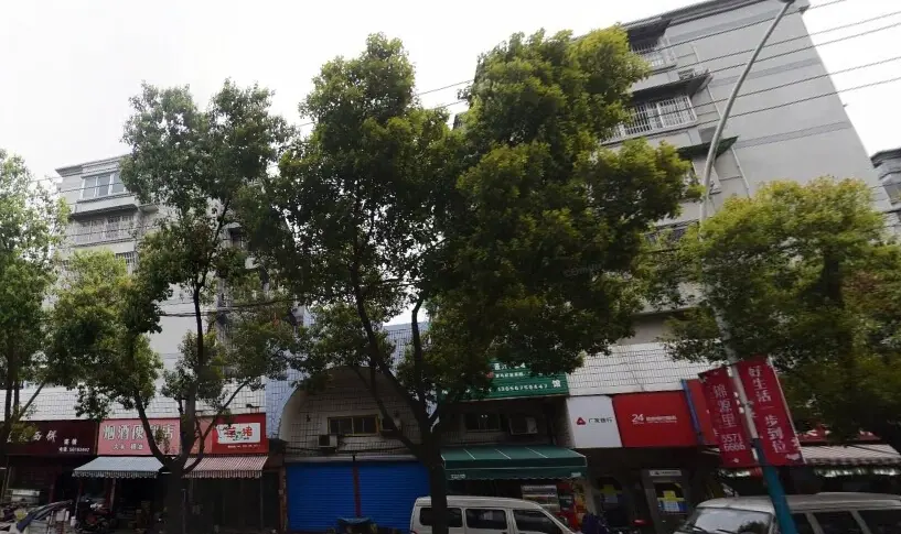 华盛菜场小区3室2厅1卫东南朝向2700.00元/月出租