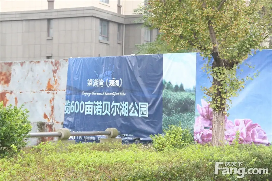 望湖湾项目实景图