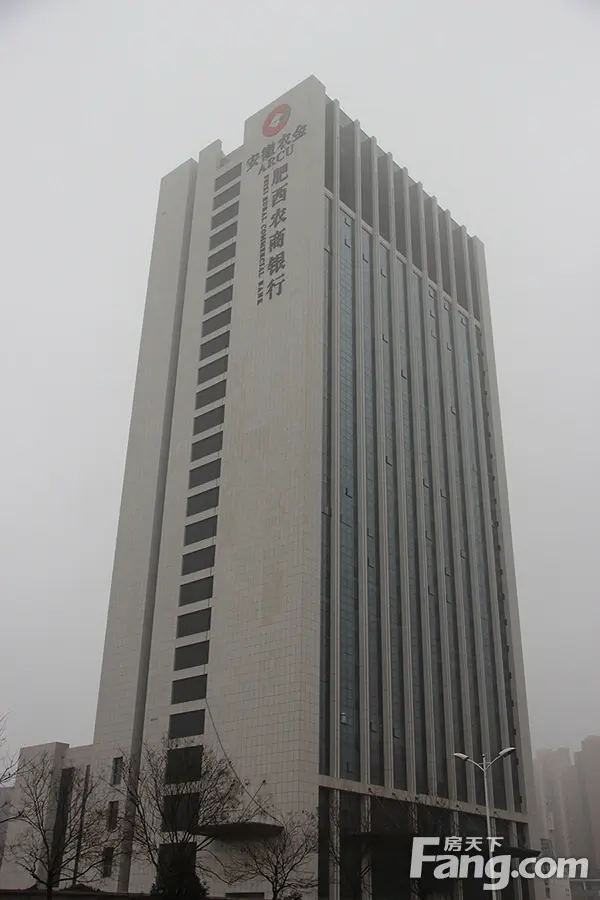丽丰·铂羽公馆周边配套 
