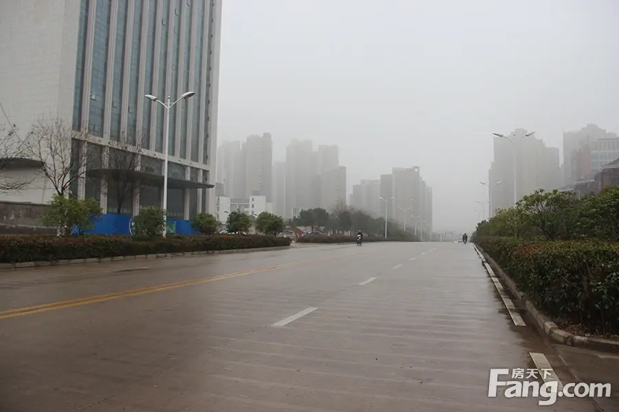 丽丰·铂羽公馆周边配套 