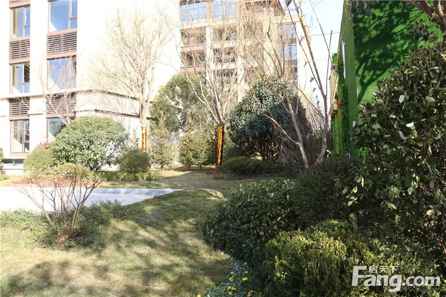 实景图:园林景观