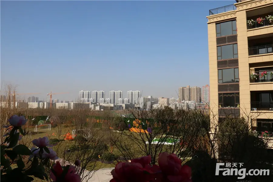 实景图:园林景观
