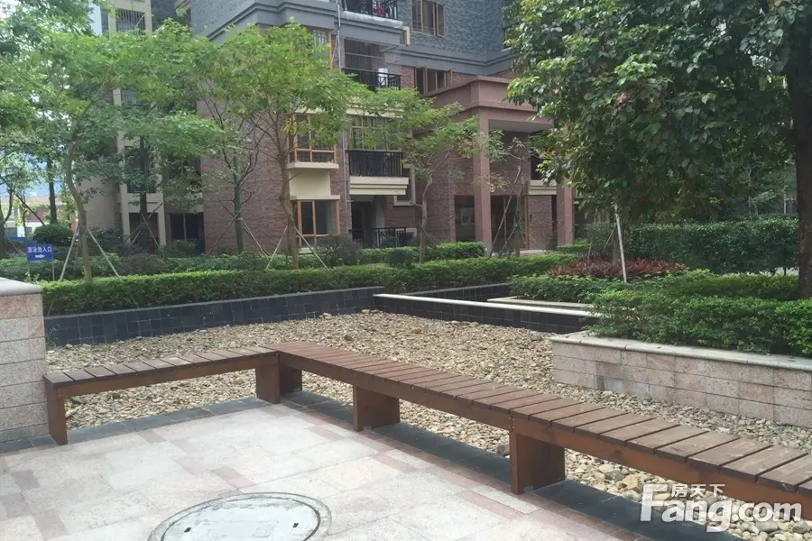 实景图:项目园林实景
