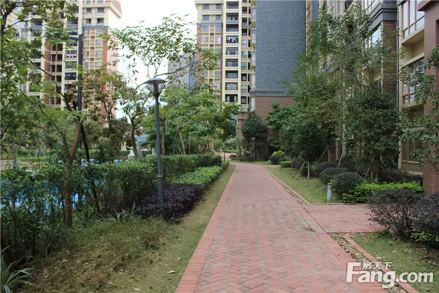 实景图:洋房园林