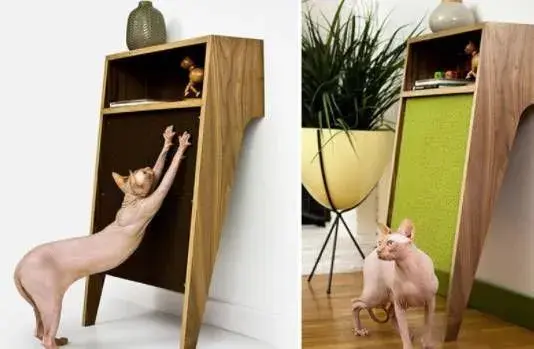 是家具也是玩具,献给家里的猫大人!