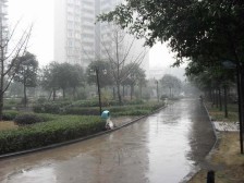 动物园旁 中装大两房 看房随时方便 出门就是地铁