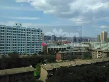 东部 冷冻厂 2室 精装修 看房方便