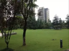 融创紫枫郡 3室2厅 东南