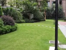 梧桐公馆 2室1厅 南