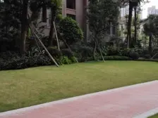 梧桐公馆 1室0厅 南 北