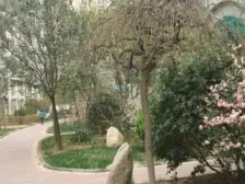 标准的一室一厅户型 双气带阳台 诚心出售