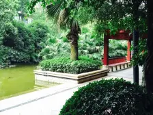 石马河 金科十年城东区三房106万