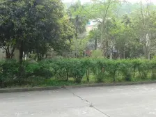 清芳园 2室2厅 东南