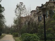 电梯洋房,南北通透格局,楼间距宽,采光充足