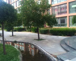 纯毛坯顶楼有露台,电梯 好楼层 全天采光 房本满二