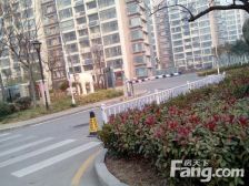 杏坛中X城小高层精装复式,大5室,两层带露台,证过2