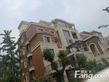 世纪新筑B区电梯洋房一楼带院带富一有车位储藏室精装