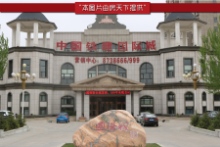 中国铁建·国际城别墅