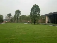 保利海棠 3室2厅 南