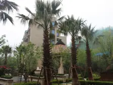 南北通格局+花园式洋房+开发商统一装修+1梯两户