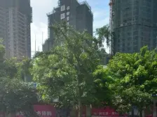 龙马大道旁 次新小区电梯住家精装温馨两房 双卫