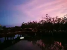 初见乍惊欢, 久处仍怦然 。