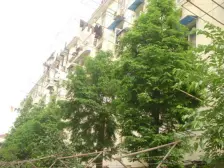 祥德路505弄小区3室东南朝向840.00万元/套出售