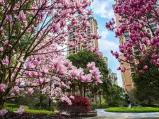 雅居乐富春山居 5室2厅 南 北