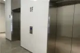 ʹĿʵ 