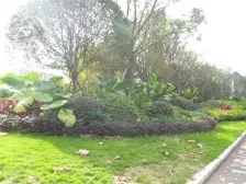 绿城两江御园品质楼盘,小区人车分流,管家制服务。