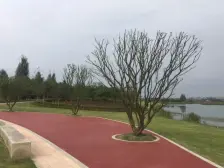 保利湖心岛丽湖苑 3室2厅 北