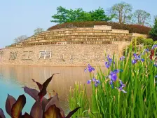 御江南独栋别墅花园300方带两个车位改善生活之选