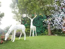 碧桂园珑湾视野开阔采光好全新没住过的