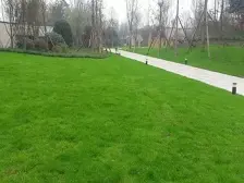 电建洺悦府 1室0厅 东南