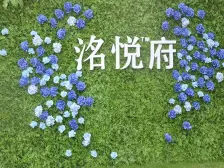 电建洺悦府 4室1厅 南