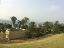 急售急售急售.一楼麻将馆+烟草证+营业执照