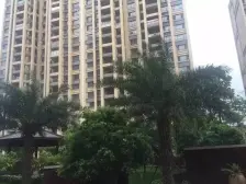 采光通透,楼层好,视野开阔,无遮挡