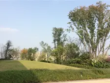 品质楼盘,可以看公园,视野和采光好,