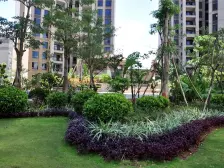 嘉合凤凰岛 3室2厅 西南