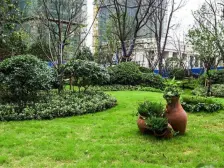 嘉合凤凰岛 3室1厅 西南