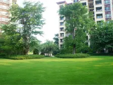 天府欧城 1室1厅 南