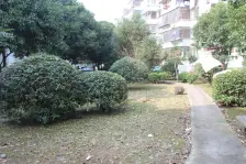 【檀香新村】| 舟山市定海区桔园新村南区87幢198号604室不动产