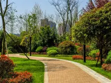 嘉合凤凰岛 3室2厅 东南