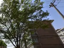 安宁区费家营十字两室南北通透交通便利