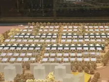 万科君望府B区 5室2厅 东南