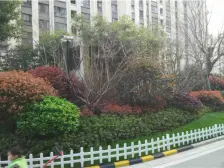 嘉合凤凰岛 4室2厅 西南