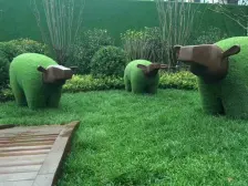 小区正中间 看小区园林美景 视野开阔 全天阳光充足