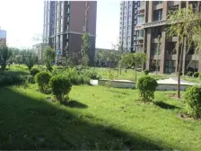 嘉合凤凰岛 3室1厅 西南